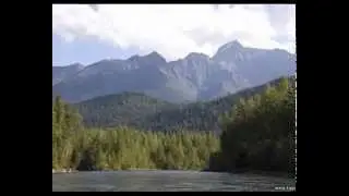 Николай Попов ТАЙГА