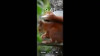 Live Wallpaper s Maker -  Screen Record Test