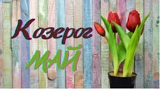 🔮Козерог -Астрологический прогноз для на🌷МАЙ 2024 🌷