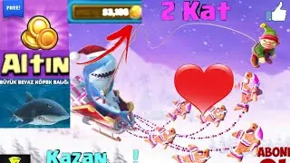 Hungry Shark' Hızlı Altın Nasıl Kasılır? - Seri taktikler -