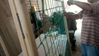 MALLA PARA ESCALAR