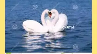 Пожелания прекрасного дня и музыка Шопена