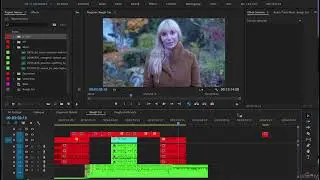 Adobe Premiere Pro CC Complete A Video Editing Project 20