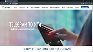 How to set up Telegram.Forex software