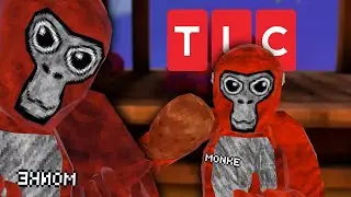If Gorilla Tag was on TLC