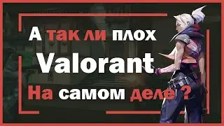 А так ли плох Valorant на самом деле ?