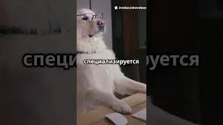 Pets as Managers: Office Adventures