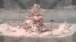 Everything Takes Forever (Jack Frost  Kilbey/McLennan)
