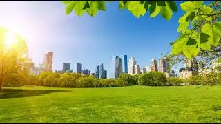Мечтать о такой, как ты.2-05  Татьяна Веденская