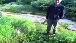 РАКЕТНЫЙ КОМПЛЕКС ДВИНА сталк с Папой