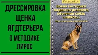 Дрессировка щенка ягдтерьера. О методике ЛиРОС