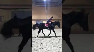 Гомон ,треня