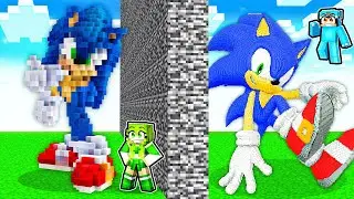 I Cheated With SONIC in Minecraft Build Battle!