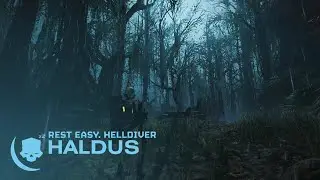 Rest Easy, Helldiver | Haldus