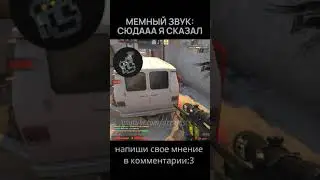 сюдааа я сказал 