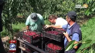LIVADA STĂUINI, EXEMPLU CĂ SE POATE