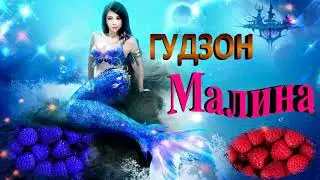 ГУДЗОН- Малина#русалка