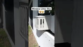 No more awful smells 😭🙌 #cat #pet #dog #shortsviral