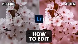LIGHTROOM TUTORIAL FOR BEGINNER & ADVANCED | STEP BY STEP | HOW TO EDIT EPISODE 6
