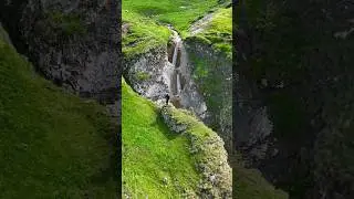 Goranboyun güllü-çiçəkli yaylaqları