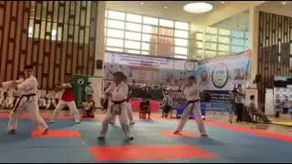 Spacial Techniques Tong-il Moo-do INTERNATIONAL MIXED MARTIAL ARTS