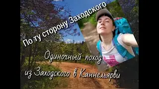 По ту сторону Заходского. Прогулка от Заходского до Каннельярви.
