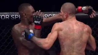 Current King of the UFC Alex Pereira #ufc #alexpereira #champ