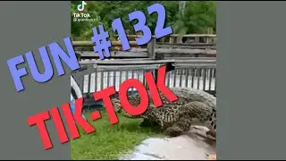 Fun Tik-Tok #132 Trend | Funhouse off , fails | Тик-Ток тренд, неудачи, приколы, смешное видео