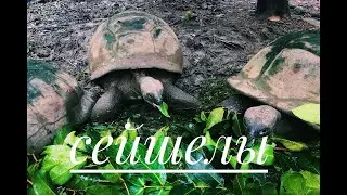 Сейшельские острова 4 часть