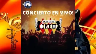 ORGANIZACION INDU EN VIVO || Pinotepa Nacional Oaxaca 
