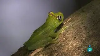 Juegos mortales: GRANDES ESCAPADAS - (DOCUMENTAL)