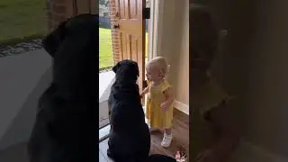 She Pushed That Door Three Times. He Did It in One. 😭🖤 
