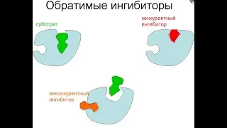 Лекция по биохимии №7