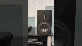 Полочники компактные, а как звучат! 🔥 