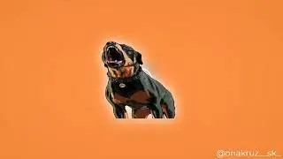 [FREE] " C H O P " -  West Coast 90's Boom Bap Type beat 2021 | Prod. Onakruz
