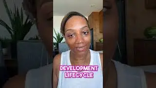 SDLC: Software Development Lifecycle 
