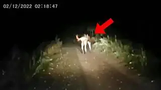 30 Most Disturbing Trail Cam Videos No One Saw Coming