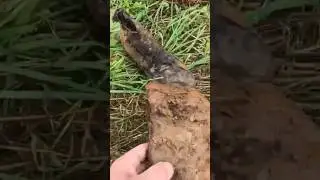A dead soldier on the side of the road