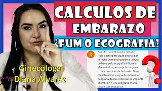 FECHA DE MESTRUACION o ECOGRAFIA para CALCULOS DE EMBARAZO, por GINECOLOGA DIANA ALVAREZ