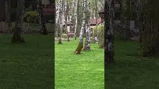 Мероприятия выходного дня)