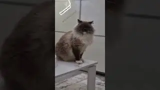 Вот и лето прошло😺