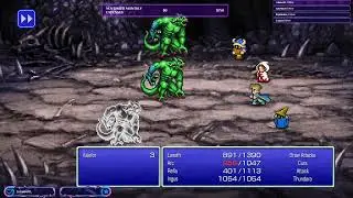 Final Fantasy III: A Whole New World~