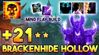 Shadow Priest M+ 162k DPS | +21 Brackenhide Hollow | 10.1