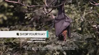 KMART Bat Lady Vore Ad