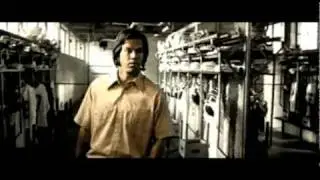 No Shame in Moose.avi
