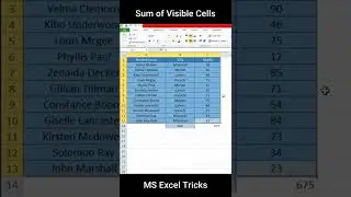 How to get sum of Visible cells only in MS Excel - MS Excel tips and tricks - 