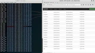 DHCP starvation attack