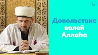 Довольствие волей Аллаhа