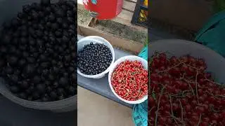 90. Не обижайся,  КОЛДУН!