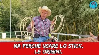 Ma perché usare lo stick. Le origini.
